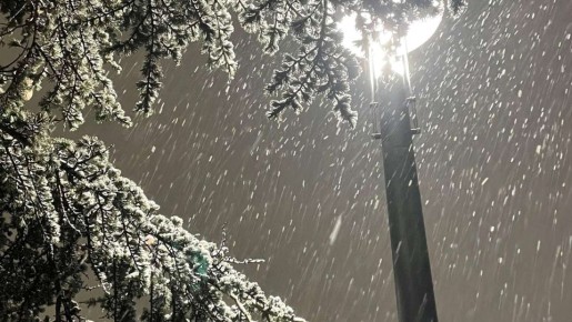 ����� ���������� ���������� � ����� � ��������� ��������* � ��� - �������