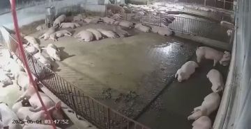 ��������� ��� ���� ����� � ������� ������� ������ "��������" �� ��������� �������