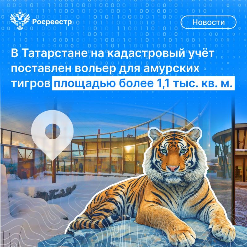 Друзья, забавная "полосатая" новость пришла к нам из Татарстана