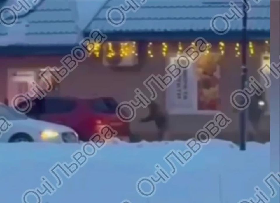 По ТЦК открыли огонь во Львовской области