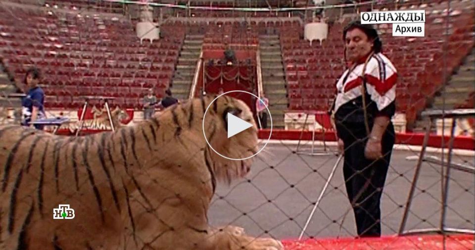 ���� ������� ��������� ������: ������������ ����� ������������� �����������