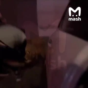 ������ ���� ����� � ��������� � ���� ����� � ������ � �������, � �� ���� �� ��� ����� ��� ����