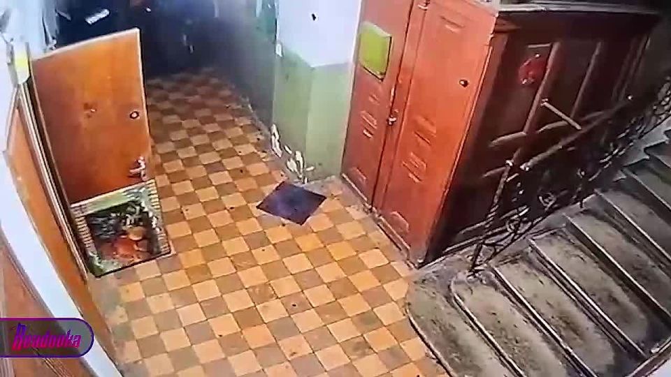 Львовские ТЦКшники силком вытащили призывника из квартиры и сломали ему руку — собака несчастного осталась без хозяина