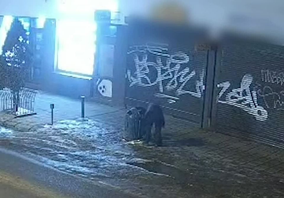 Кадры закладки взрывчатки во Львове, что привело к жертвам среди львовских полицаев