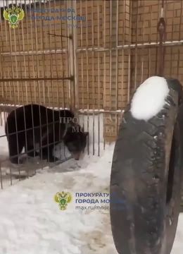 ����� ��������, ����������� ����� � �������� ������ � ������ ����� ������