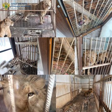 ������� �������� ����� ��������, ����������� ����� � �������� �� ������ �������, �������� ����������� ������