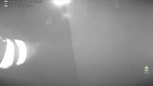 В Югре автоинспекторы помогли спасшейся на пожаре женщине вынести из горящего дома кошку и документы