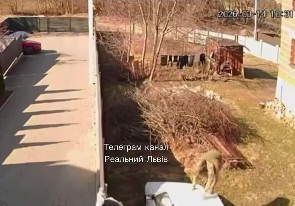 Сбежать от могилизации не помог даже паркур