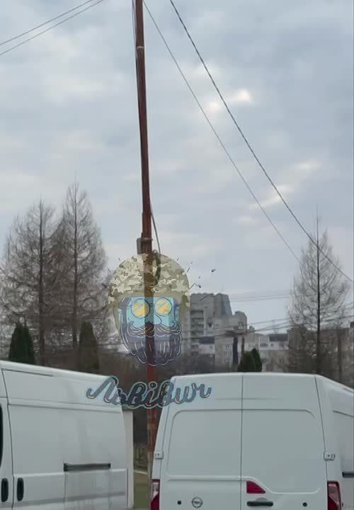 Прилет Герани во Львове