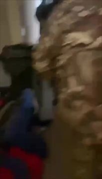 "I'm american, i'm american"