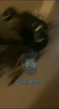 ������ ����������: ���������� ���� ���������� � ������� ��������� ������������� � ���, ��� �� ������� �������� ������������