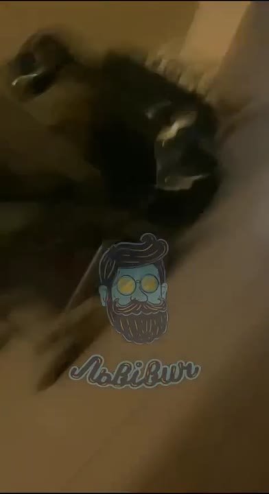 Михаил Онуфриенко: Американец стал свидетелем и получил наглядное представление о том, как на Украине работает «демократия»