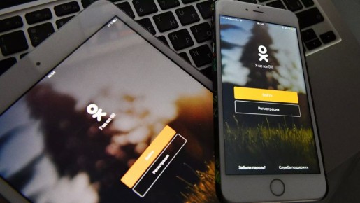 Жителю Львовской области дали пять лет тюрьмы за лайки в "Одноклассниках"