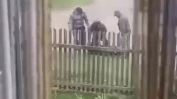 �� ��������� ������� �������� ������ �������� �� ������ � �����������