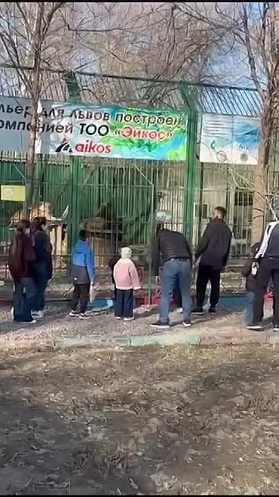 ���������� �������� � ���������� ������� ����� �� �����