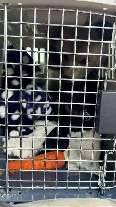 ��������� ������� �� ����� �������������� ����������, ���������� ������ �� �������� ������