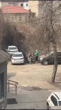 ��������� ���������� ���-����� ���������� ���� ���� "���������", ��� �������� �� ������