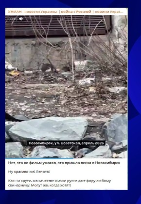 �������� �����: ���������� ���������� ���� �������� � ������������