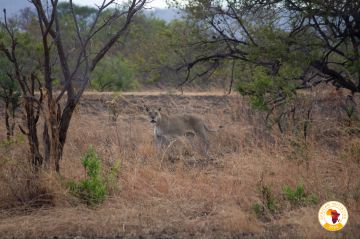 �������� ���������� ������� ������: ��������� ����� �������� 17 ��� ������