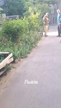 Во Львове местная жительница обычными словами смогла прогнать 2х ТЦКшников