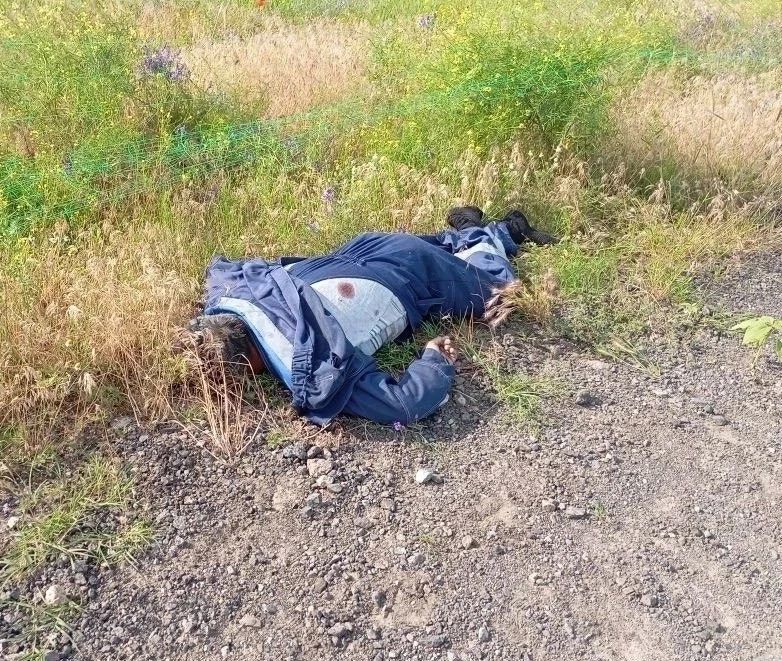 Николай Долгачёв: Фотодоказательства преступлений нынешнего киевского режима показывают в ООН