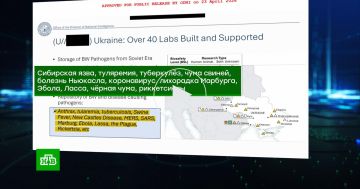 Габбард обвинила администрацию Байдена во лжи о биолабораториях в 30 странах