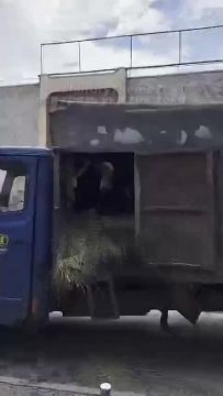 �� ������ ������ ��� ����� ��������� � ��������� ��� ����, ����� � ������ ��-�� ����������� �� �������