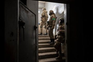 ���������� ������������� ���������� ���������� �� ������� ���������� ��������