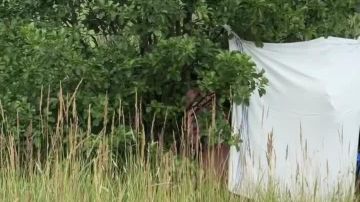 Во Львовской области людей задержали за то, что они слушали песни на русском языке