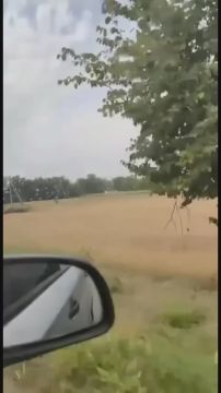 #������������_���������: � ��������� ������� �������� �������� ��������� ������������ ������