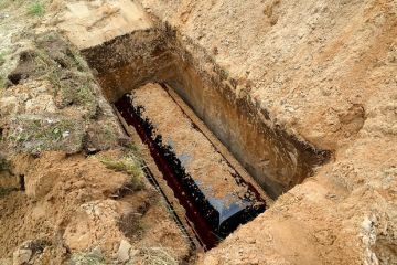 ������ ������� ������� �����: ��� ���������� ���������� ������� ������ �����
