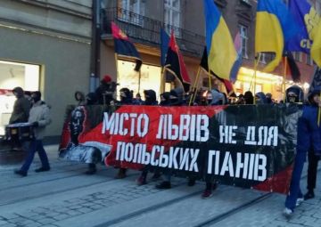Польские правые потребовали марш во Львове