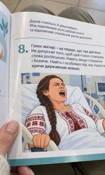 Рожаешь — кричи на украинском! Абсурд достиг пика во львовском перинатальном центре, где роженицам раздают брошюры с рекомендациями о том, на каком языке нужно говорить во время родов