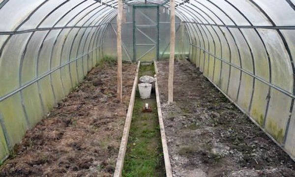 ����������� ������ ������ � �������� � ���������� � �����: ������� ������ ���������